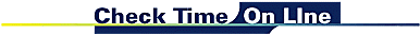 Check Time Online