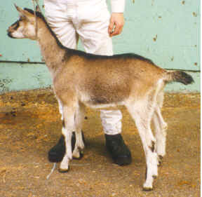 wpe28.jpg (11682 bytes)