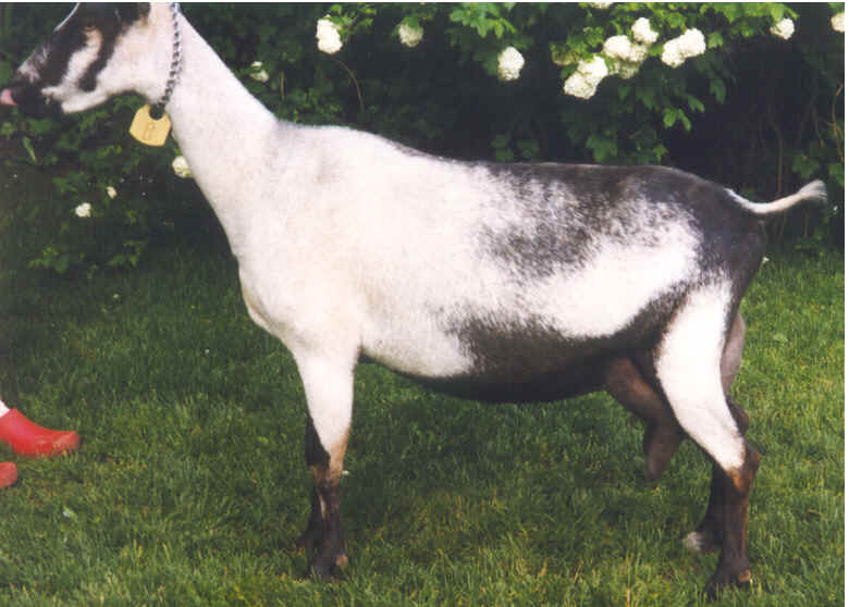 wpe29.jpg (45471 bytes)