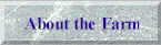 abouthefarm.jpg (1879 bytes)