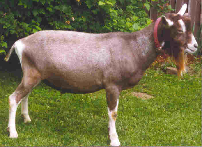 wpe2E.jpg (50985 bytes)