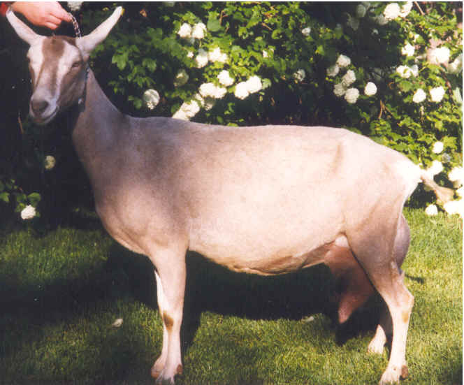 wpe23.jpg (44122 bytes)