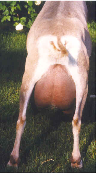 wpe28.jpg (20294 bytes)