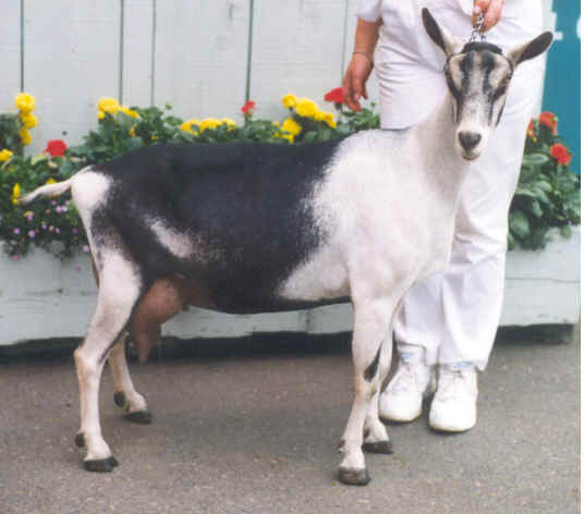 wpe2C.jpg (23579 bytes)