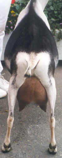 wpe2D.jpg (11535 bytes)