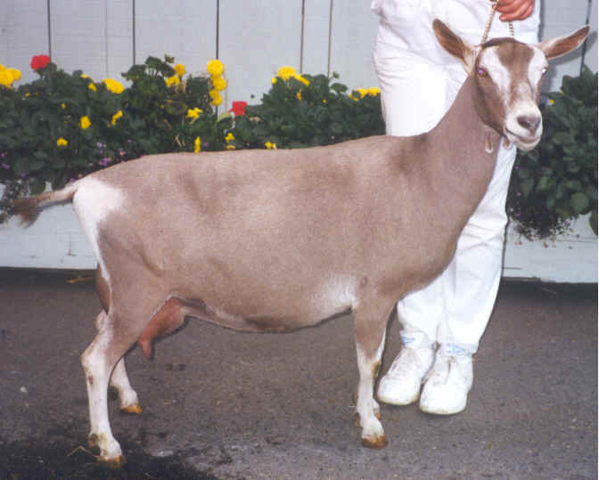 wpe28.jpg (32761 bytes)