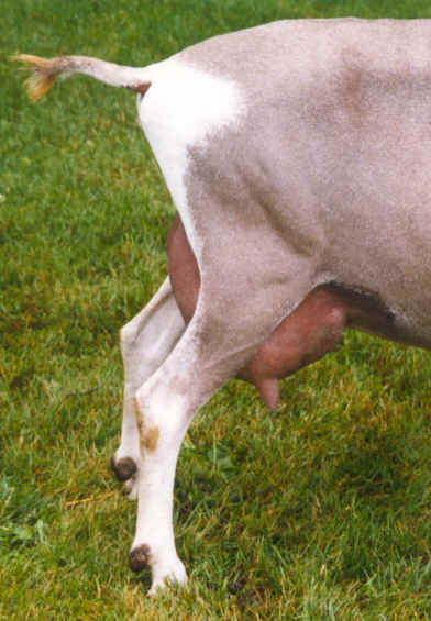 wpe23.jpg (30509 bytes)