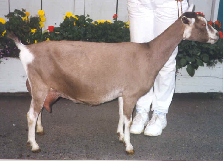 wpe2A.jpg (35458 bytes)