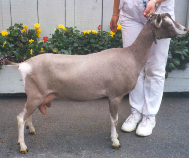 wpe2A.jpg (30203 bytes)