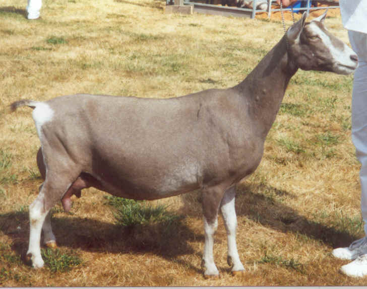 wpe2D.jpg (29465 bytes)