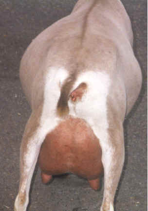 wpe30.jpg (11660 bytes)