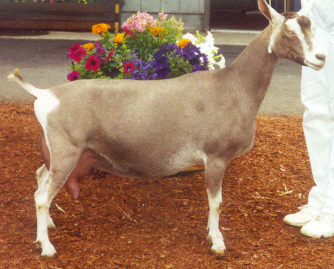 wpe23.jpg (34181 bytes)