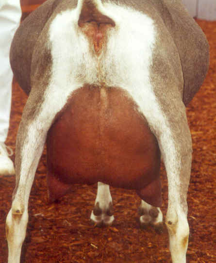 wpe20.jpg (21655 bytes)