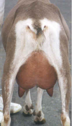 wpe28.jpg (10480 bytes)