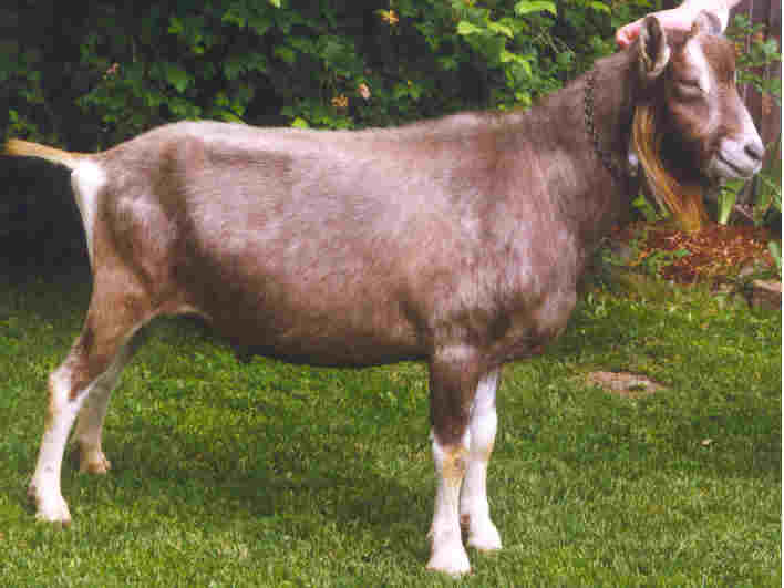 wpe2B.jpg (51515 bytes)